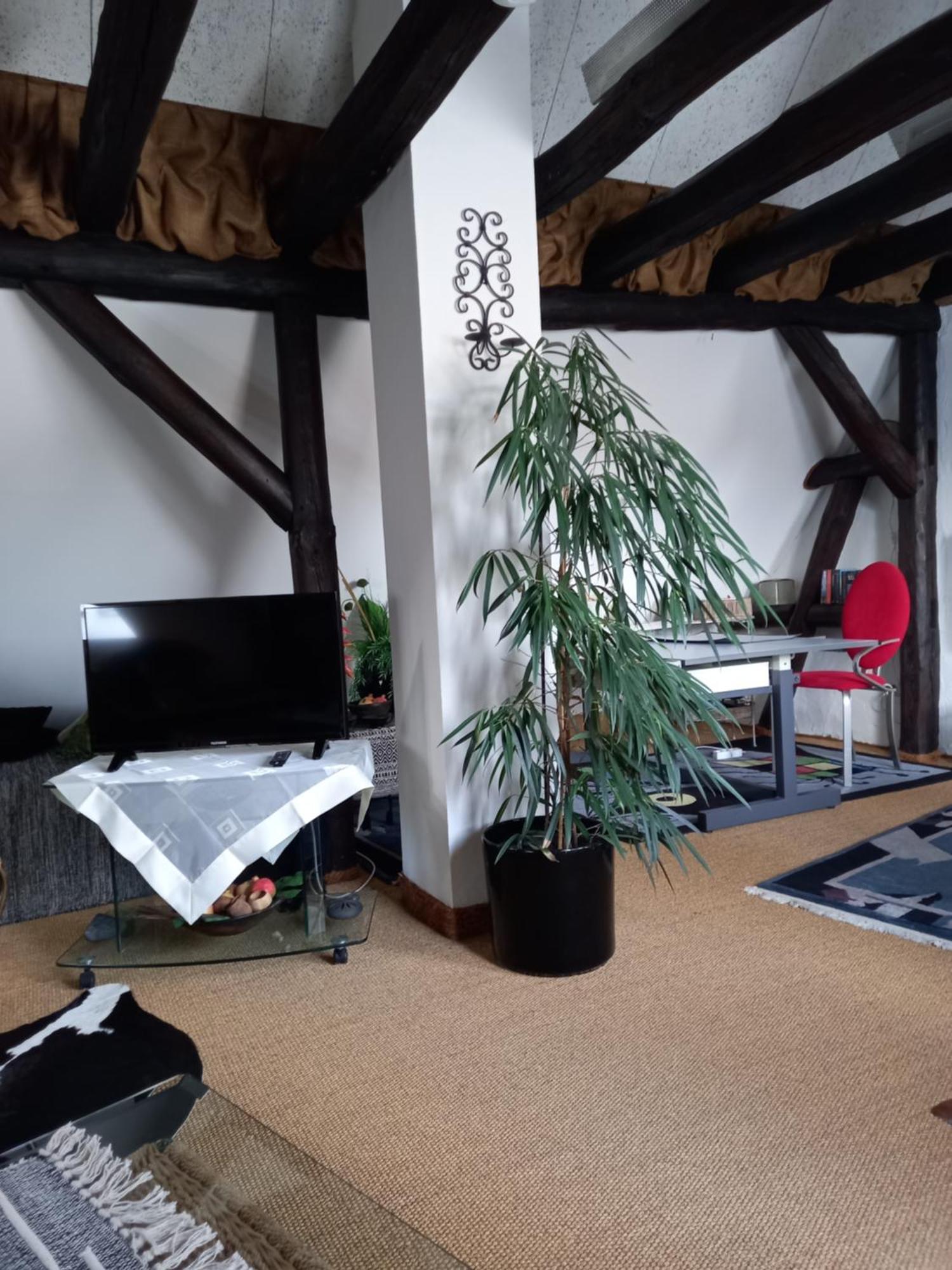 Ferienwohnung Loft Ziegelei Modautal Exterior foto